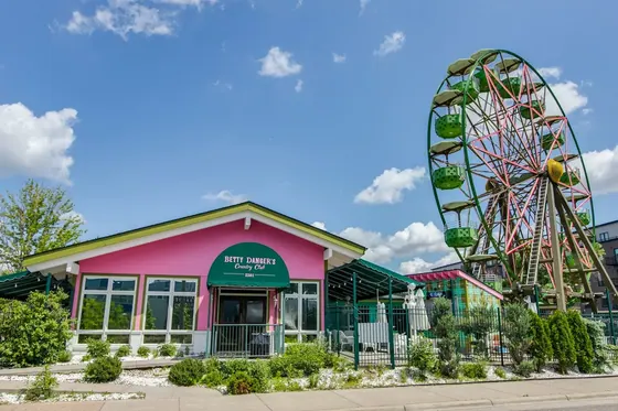 Ferris Wheel 20M amusement ride — photo 6 by XL Amusement Ride factory