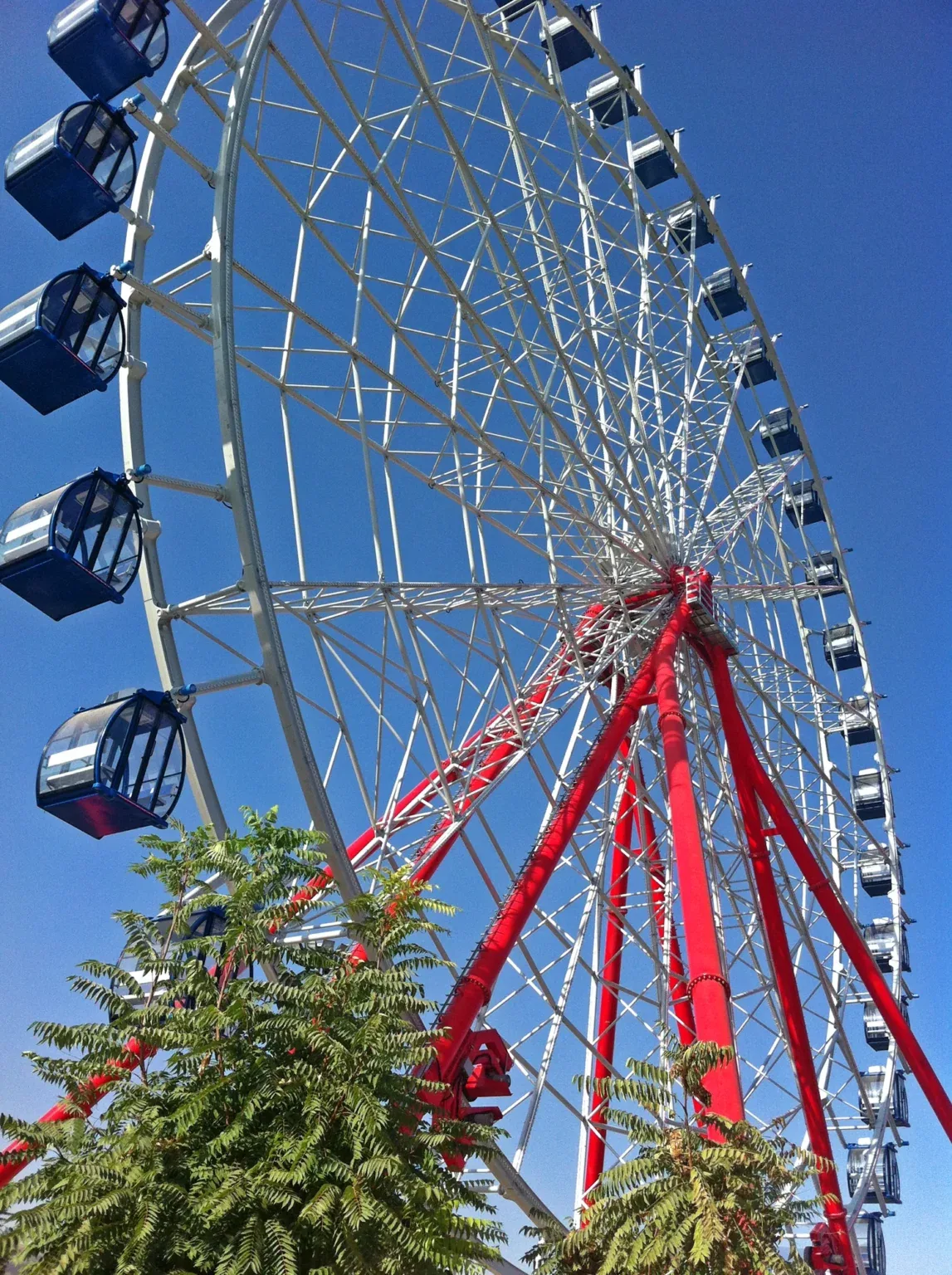 GIANT WHEEL 55M — Ferris Wheels ride for sale from XL Rides amusement ride manufacturer, China