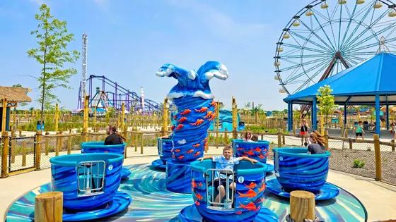 TEA CUPS 8M amusement ride — photo 5 by XL Rides factory