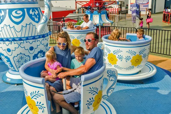 TEA CUPS 8M amusement ride — photo 6 by XL Rides factory