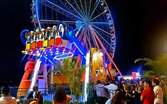 Wave rider (STANDING) amusement ride — photo 5 by XL Amusement Ride factory