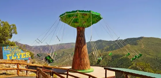 Tree Swing amusement ride — photo 6 by XL Amusement Ride factory