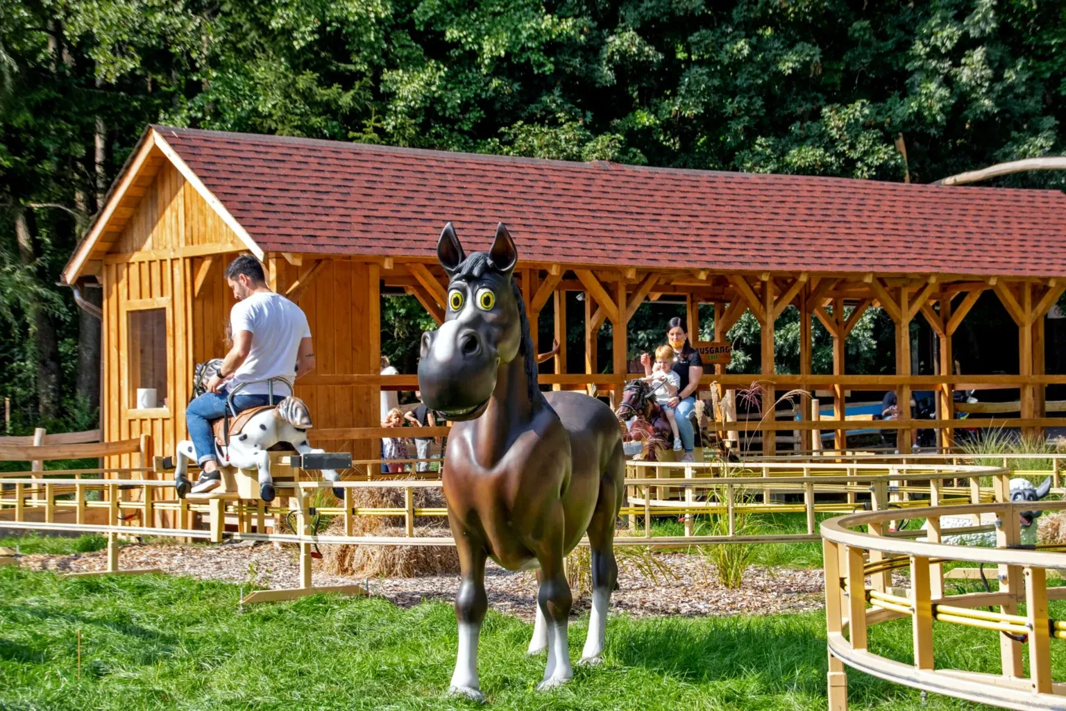 PONY ADVENTURE — Поезда и рельсовые ride for sale from XL Rides amusement ride manufacturer, China